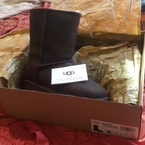 Brand new in box Uggs!!